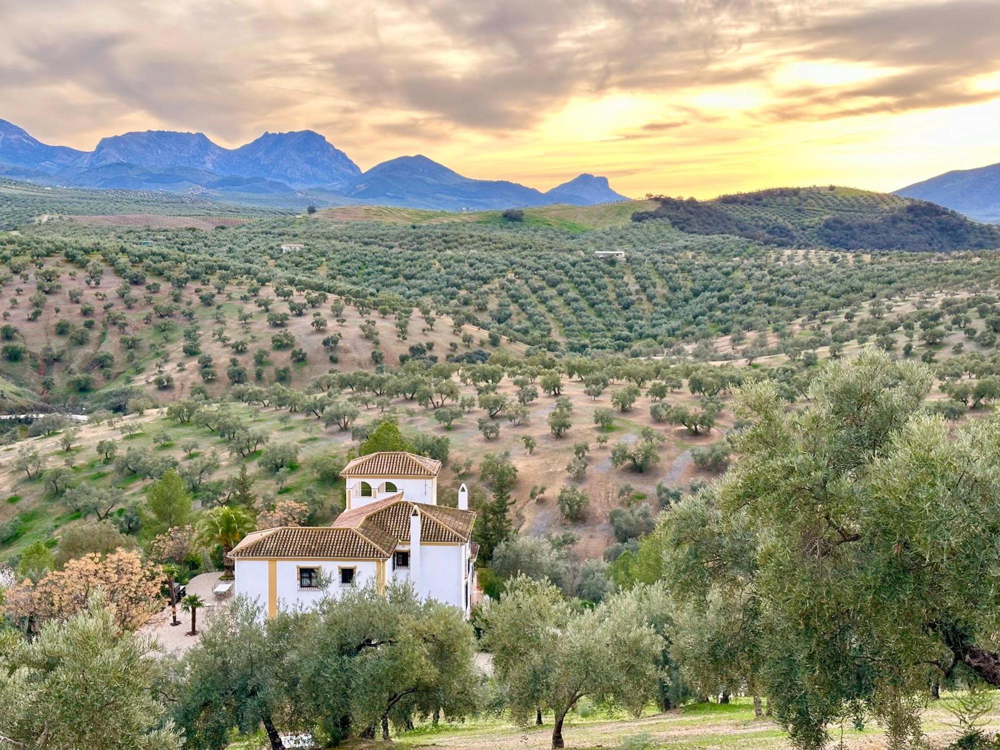 Готель Hacienda El Tarajal Прієго-де-Кордова Екстер'єр фото